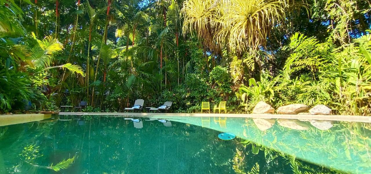 Daintree Rainforest Retreat Motel Exterior foto