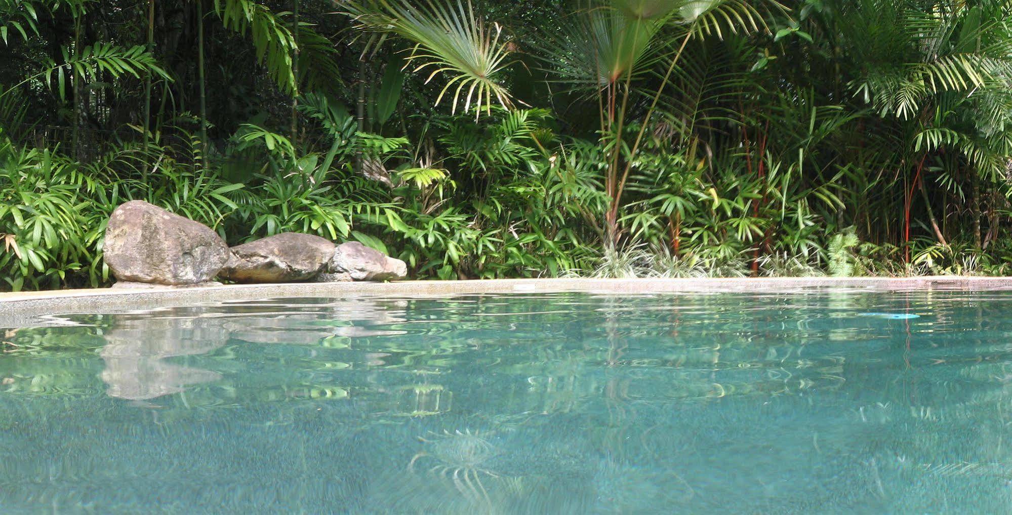 Daintree Rainforest Retreat Motel Exterior foto